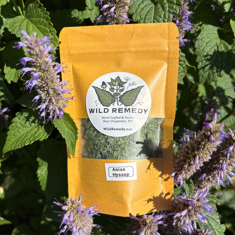 Ansie Hyssop