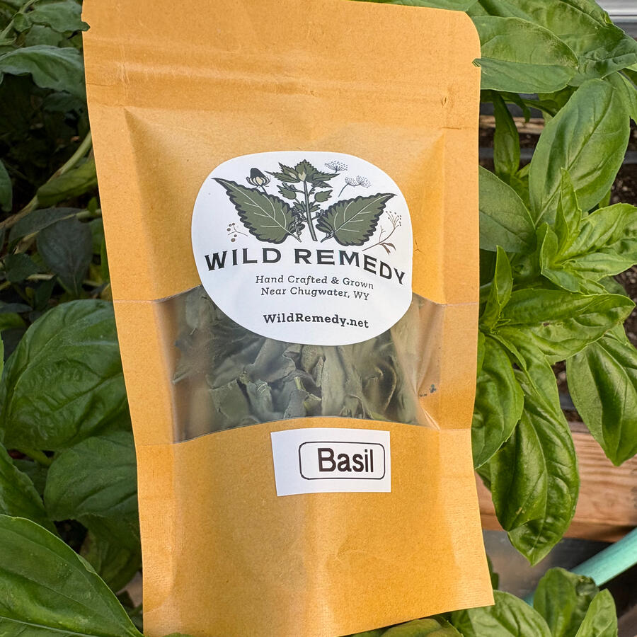Basil Basil