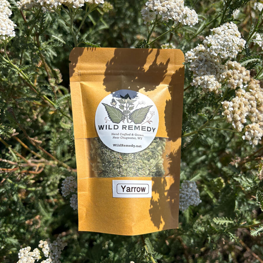 Yarrow