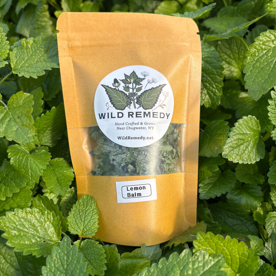 Lemon Balm
