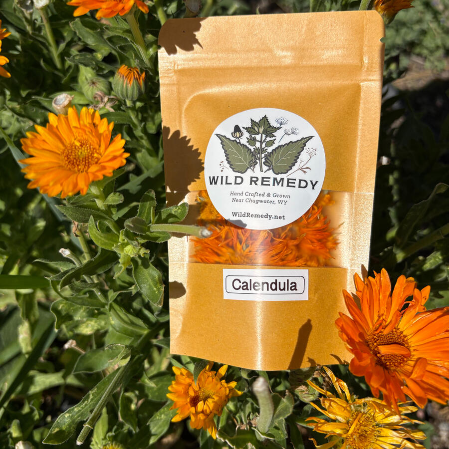 Calendula